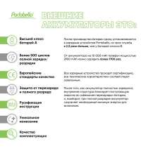 Внешний аккумулятор с подсветкой Риттер PD (Ritter PD) 10000mAh с функцией беспроводной зарядки 15W, белый