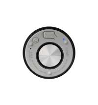 Беспроводная колонка Пэшн (Passion) 80dB 600 mAh (Bluetooth 5.4), черная