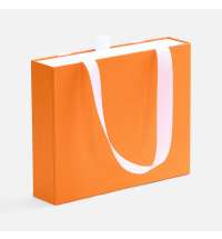 Коробка Regalis, XS, оранжевая