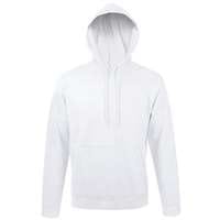 Толстовка с капюшоном SNAKE II светло-серый меланж