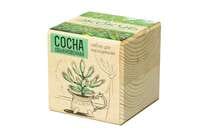 Набор для выращивания «Экокуб», сосна