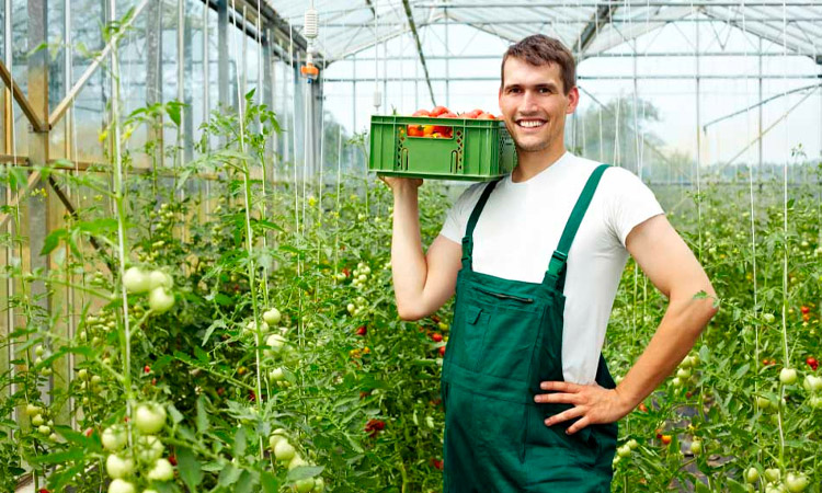 Одежда для фермера